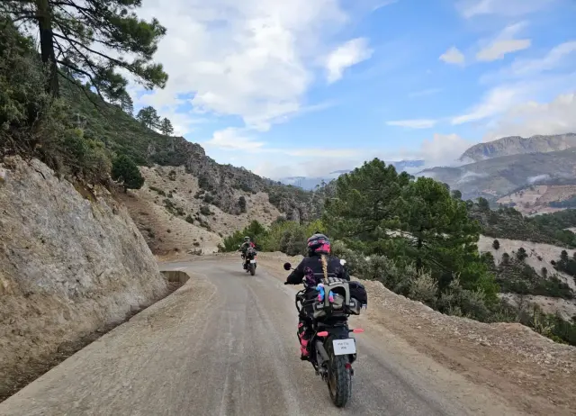 WeRoam riders on a mountain road